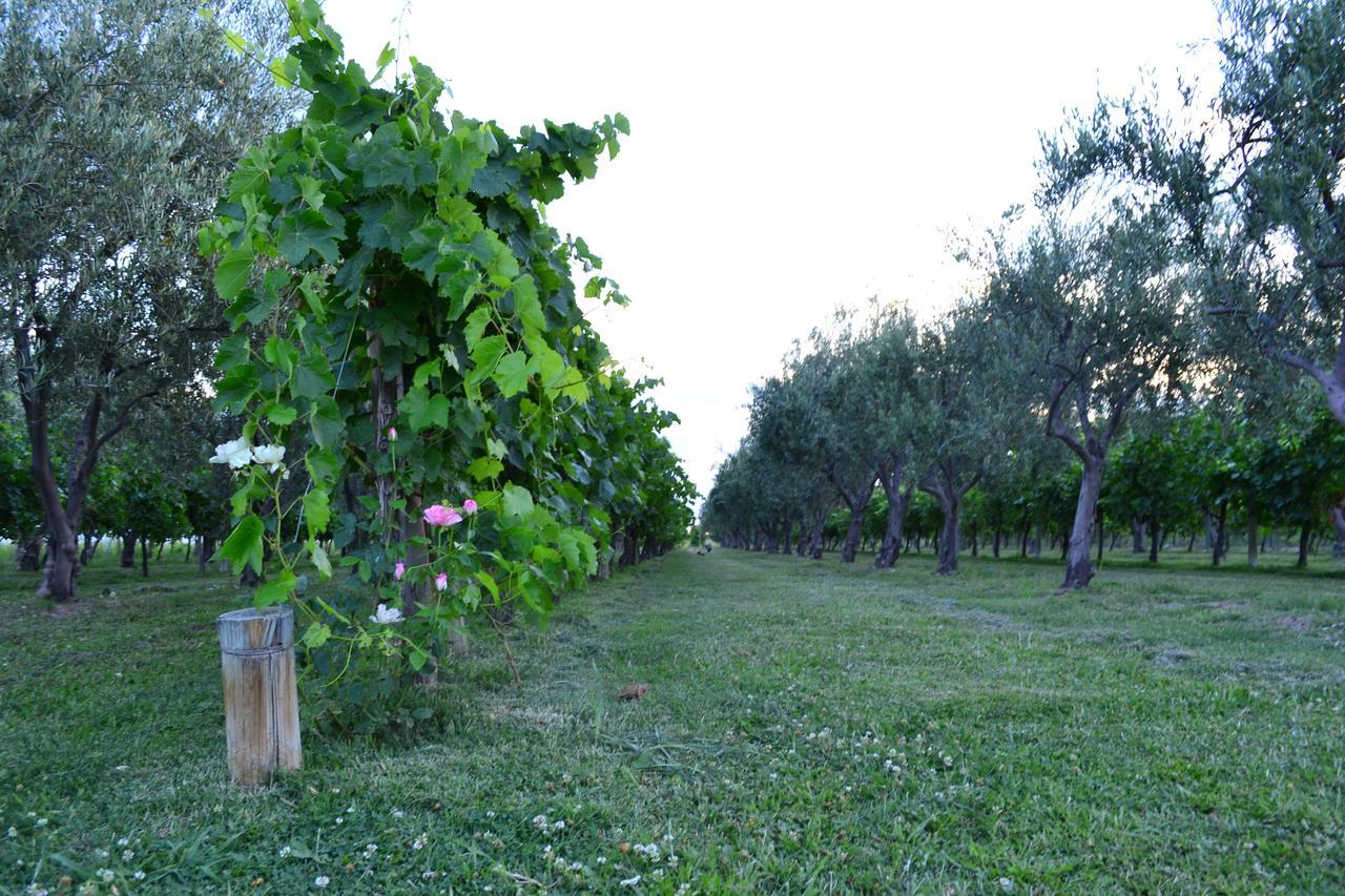Finca Fisterra Maipu  Ngoại thất bức ảnh