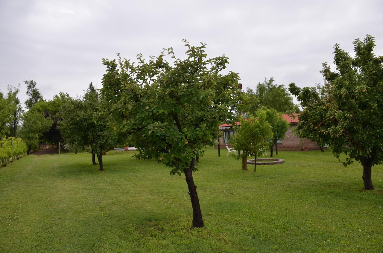 Finca Fisterra Maipu  Ngoại thất bức ảnh