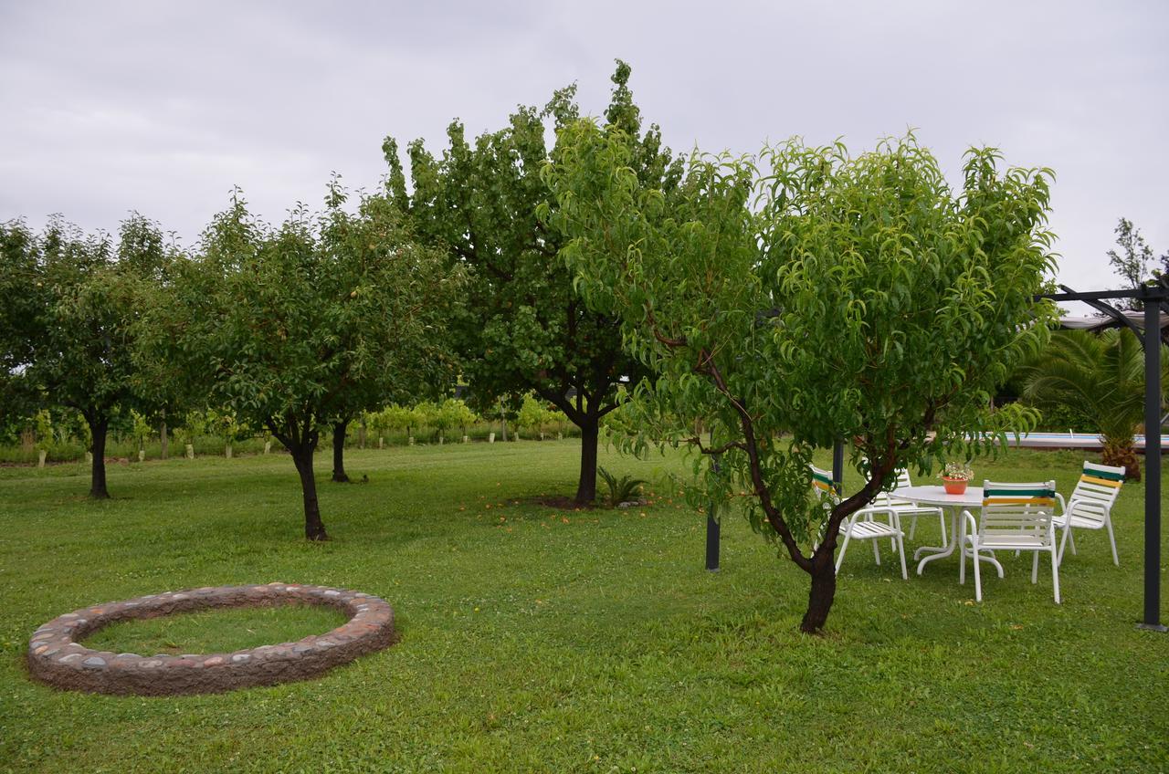 Finca Fisterra Maipu  Ngoại thất bức ảnh
