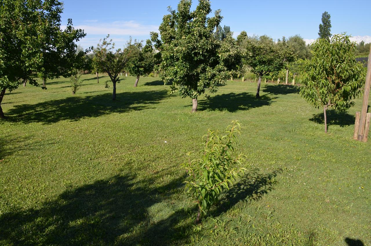 Finca Fisterra Maipu  Ngoại thất bức ảnh