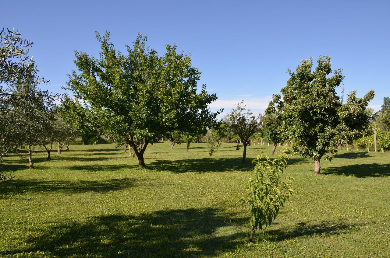 Finca Fisterra Maipu  Ngoại thất bức ảnh