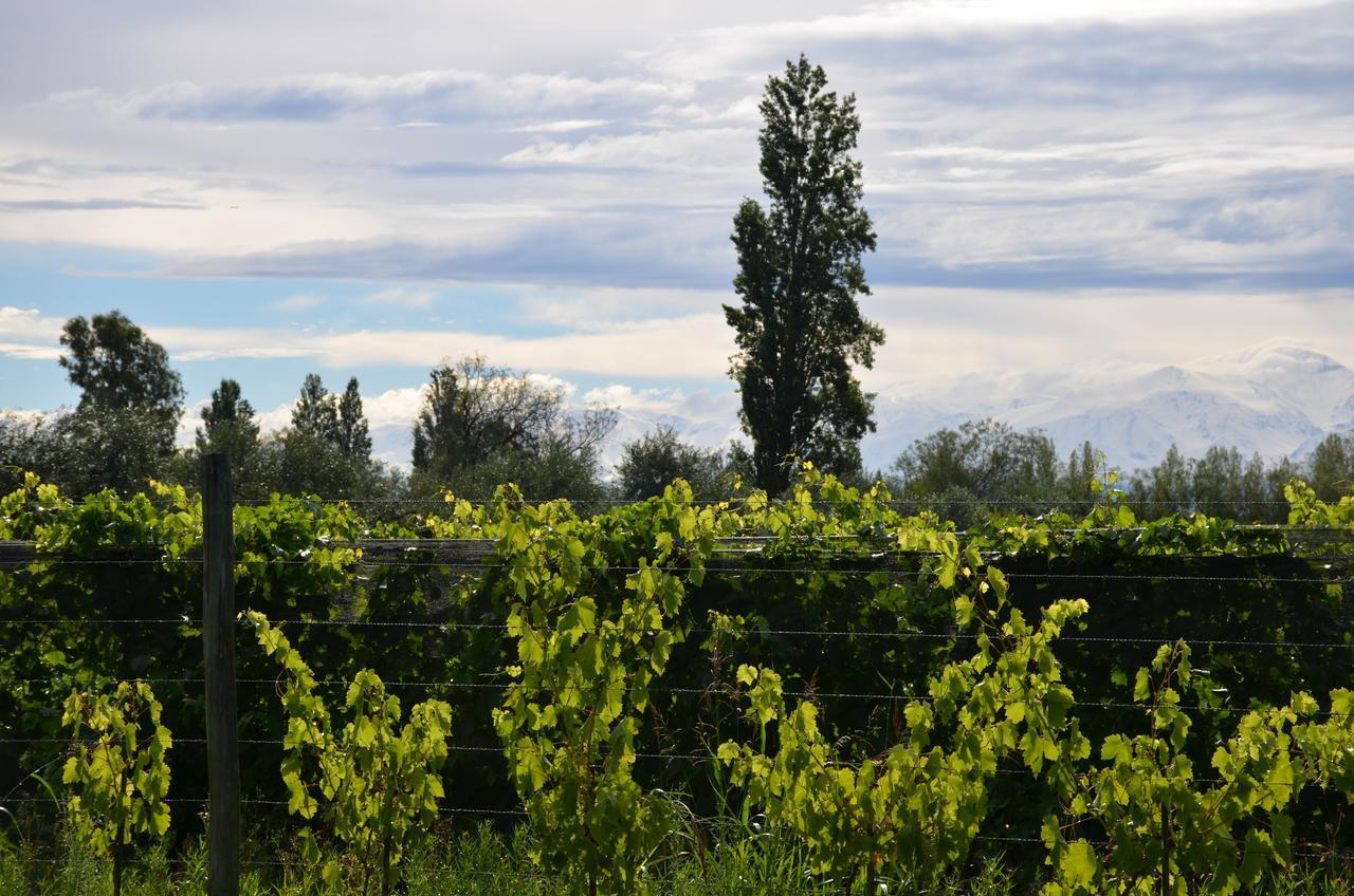 Finca Fisterra Maipu  Ngoại thất bức ảnh