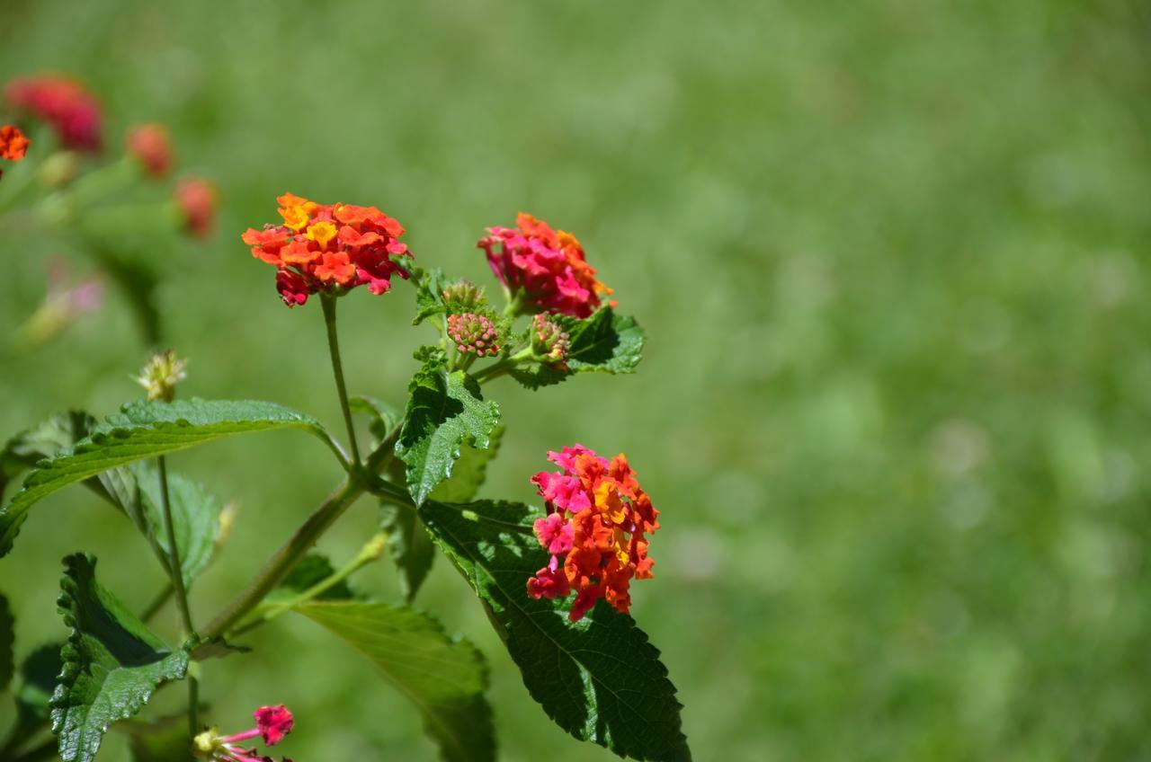 Finca Fisterra Maipu  Ngoại thất bức ảnh