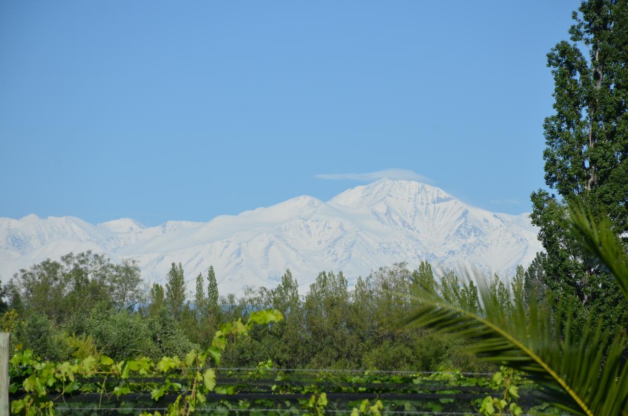 Finca Fisterra Maipu  Ngoại thất bức ảnh