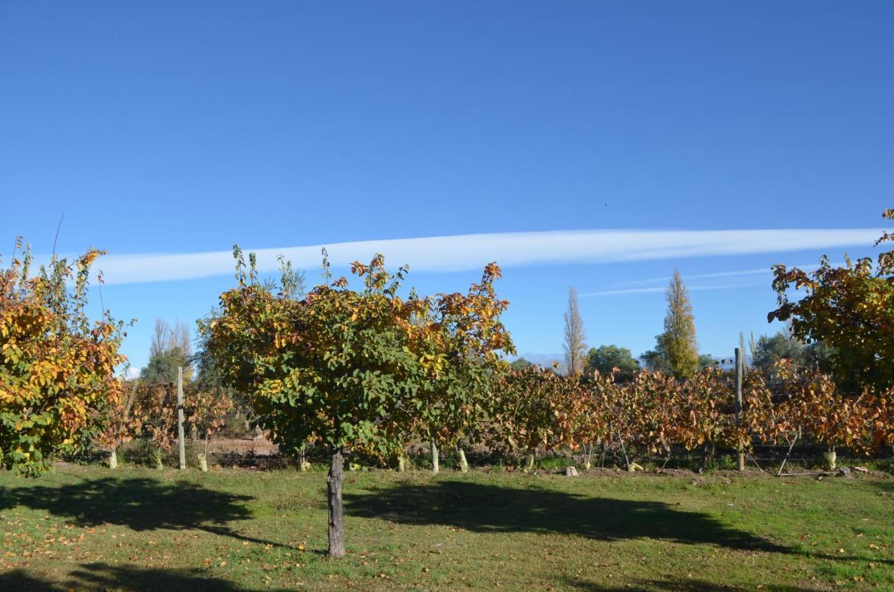Finca Fisterra Maipu  Ngoại thất bức ảnh