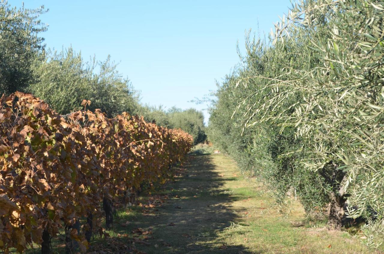 Finca Fisterra Maipu  Ngoại thất bức ảnh