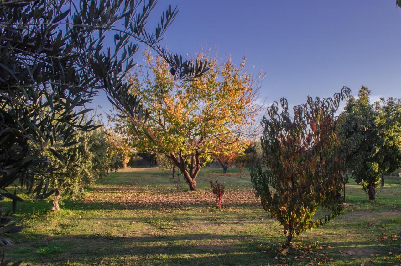 Finca Fisterra Maipu  Ngoại thất bức ảnh