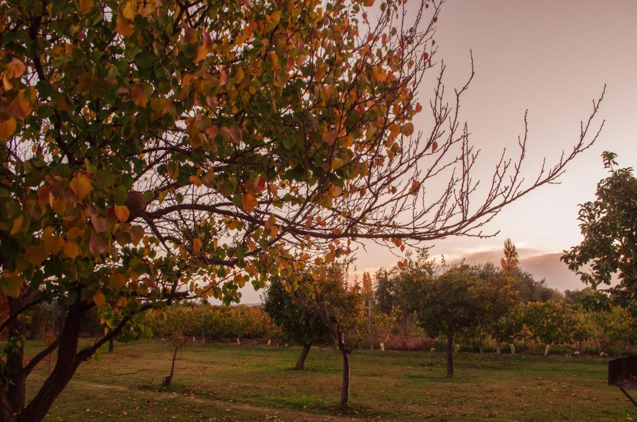 Finca Fisterra Maipu  Ngoại thất bức ảnh