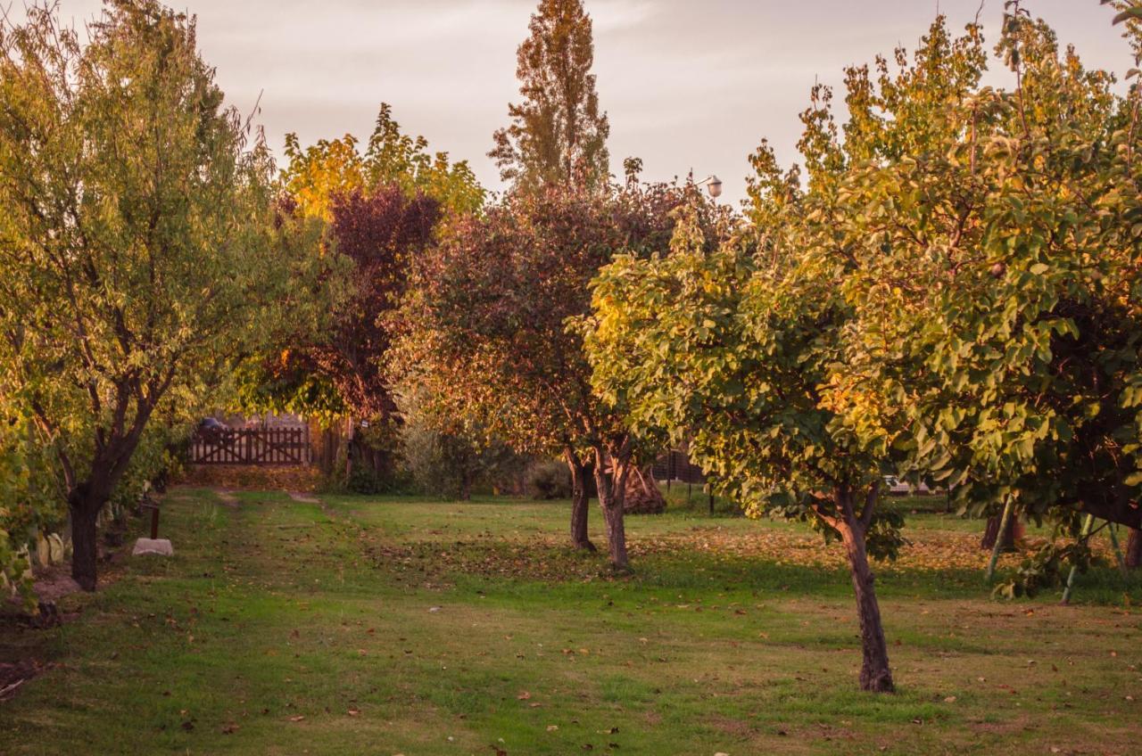 Finca Fisterra Maipu  Ngoại thất bức ảnh